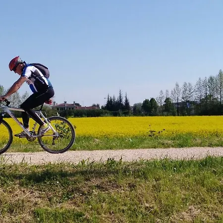 Lejlighed Sunset View *